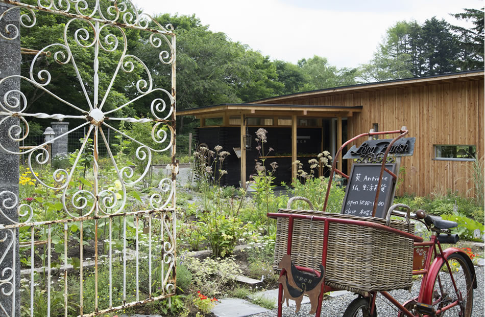 �k�C����Ύs��MEON�_���E�~�I���G�V�J���L�b�`�����J�t�F