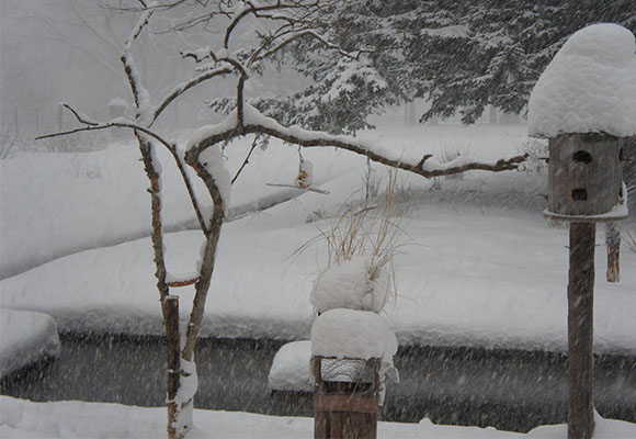 �k�C����Ύs��MEON�_���E�~�I���G�V�J���L�b�`�����J�t�F