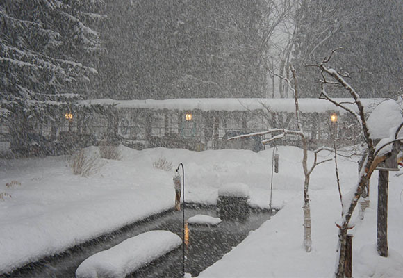 �k�C����Ύs��MEON�_���E�~�I���G�V�J���L�b�`�����J�t�F