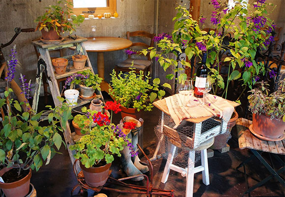 �k�C����Ύs��MEON�_���E�~�I���G�V�J���L�b�`�����J�t�F