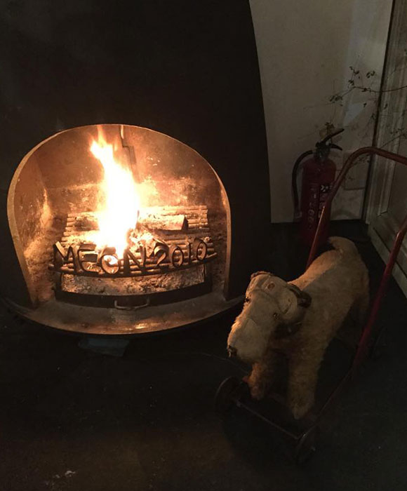 �k�C����Ύs��MEON�_���E�~�I���G�V�J���L�b�`�����J�t�F