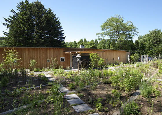 �k�C����Ύs��MEON�_���E�~�I���G�V�J���L�b�`�����J�t�F