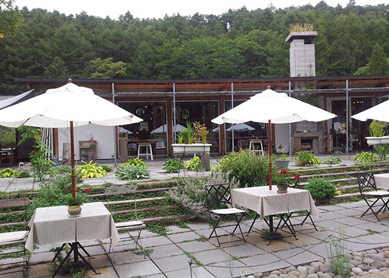 �k�C����Ύs��MEON�_���E�~�I���G�V�J���L�b�`�����J�t�F